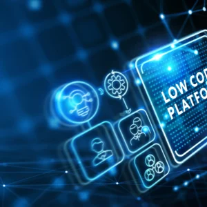 ROI of Professional Enterprise Power Apps Development Services